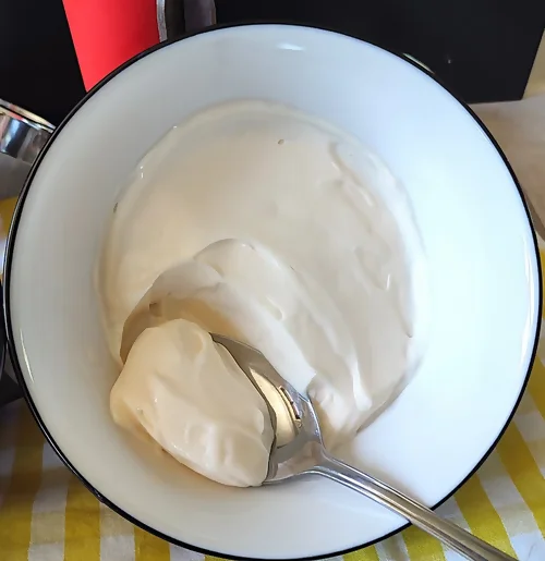 receta de mayonesa
