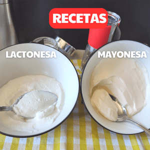 lactonesa mayonesa receta