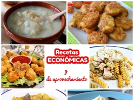 recetas economicas y de aprovechamiento